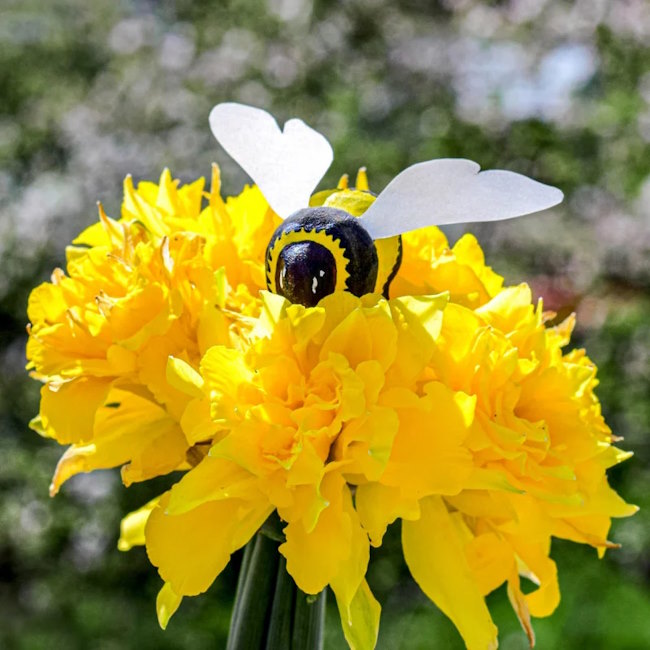Bumbu Toys | Bumblebee