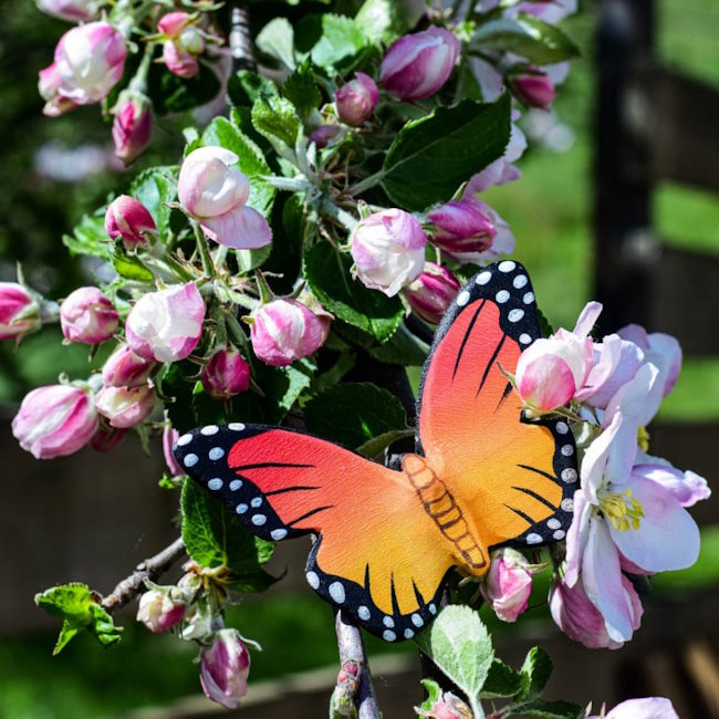 Bumbu Toys | Monarch Butterfly