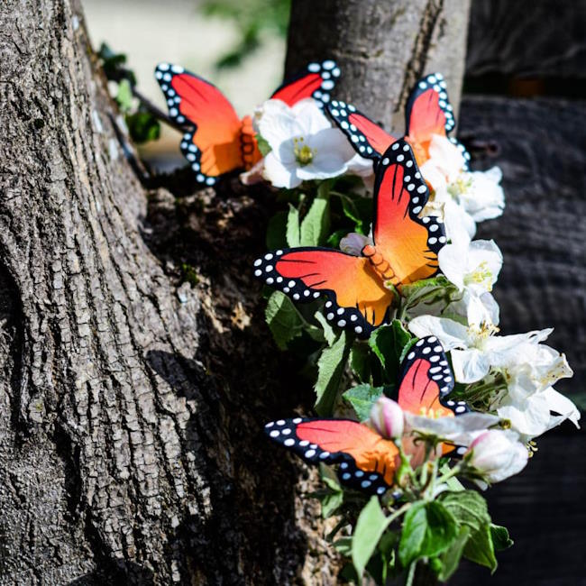 Bumbu Toys | Monarch Butterfly