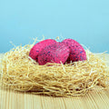 Bumbu Toys | Spinosaurus Eggs Set of 3