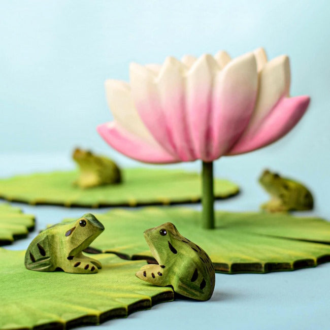 Bumbu Toys | Frog