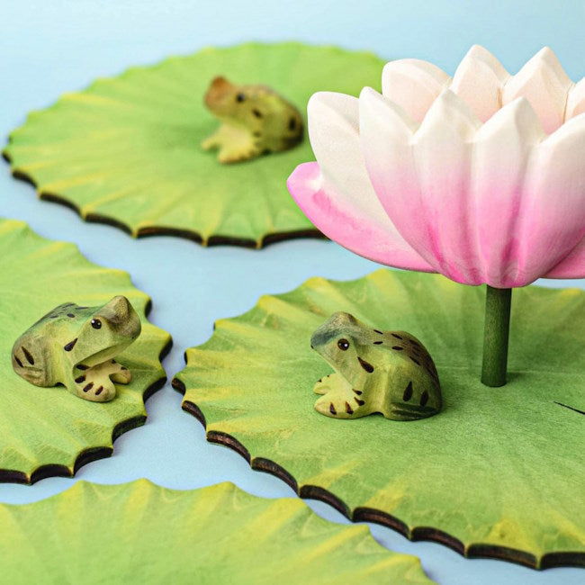 Bumbu Toys | Frog