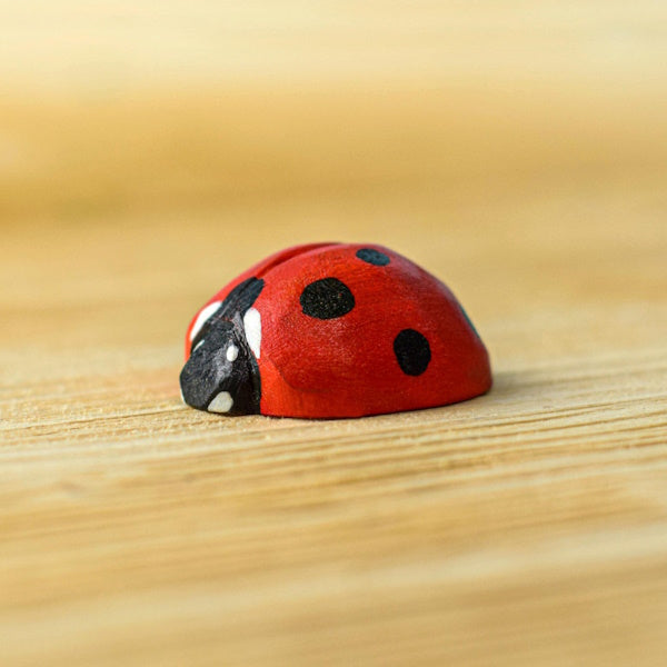 Bumbu Toys | Ladybug