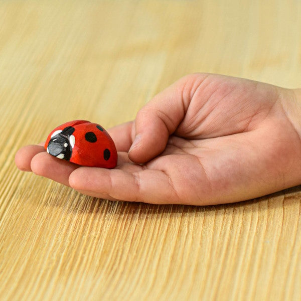 Bumbu Toys | Ladybug