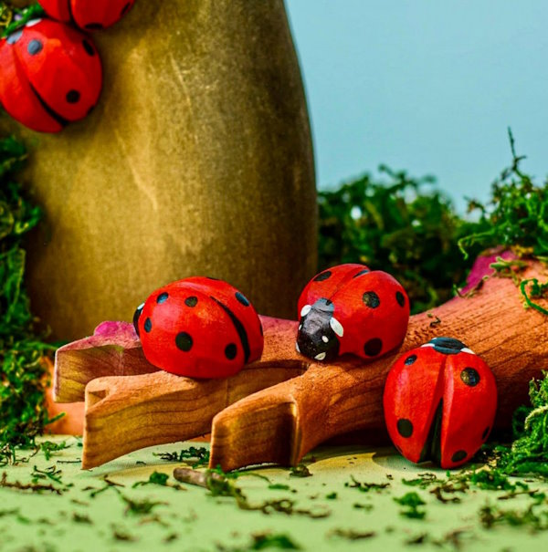 Bumbu Toys | Ladybug