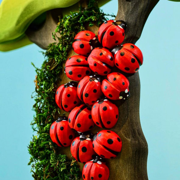 Bumbu Toys | Ladybug