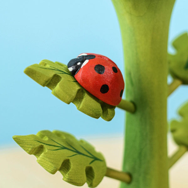 Bumbu Toys | Ladybug