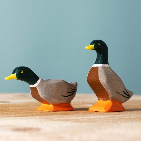 Bumbu Toys | Mallard Duck Peering