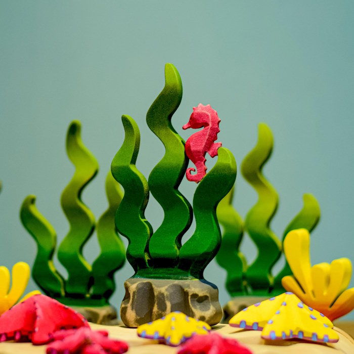 Bumbu Toys | Sugar Kelp Seaweed
