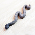 Bumbu Toys | Snake