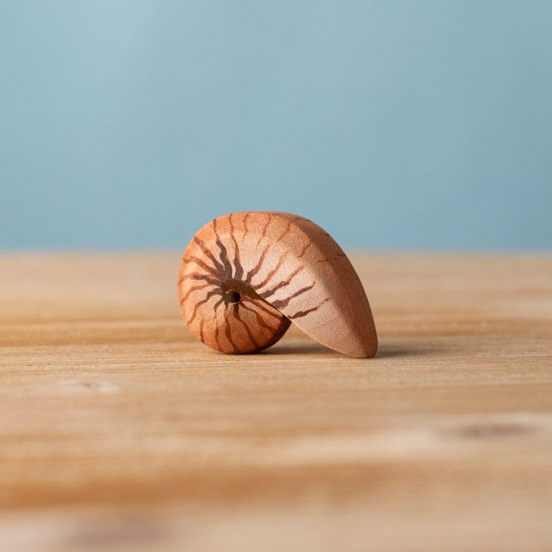 Bumbu Toys | Spiral Shell