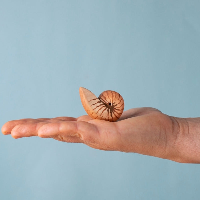 Bumbu Toys | Spiral Shell
