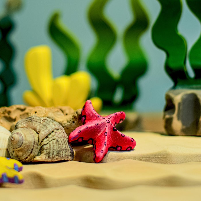 Bumbu Toys | Red Starfish Set of 2