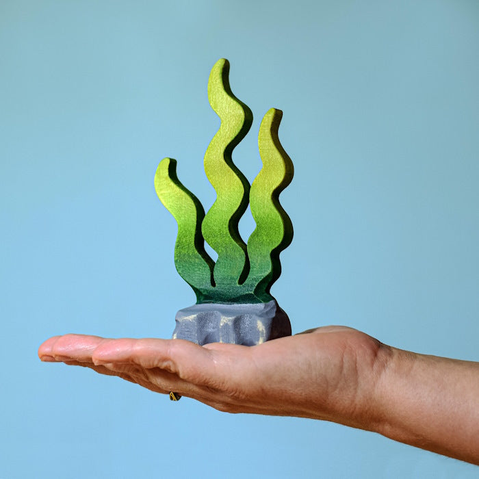 Bumbu Toys | Sugar Kelp Seaweed