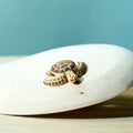 Bumbu Toys | Baby Brown Turtle